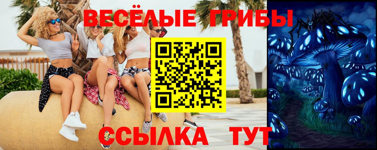 Псилоцибиновые грибы ЛСД Воронеж